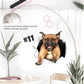 3D Removable Cat and Dog Wall Stickers