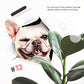 3D Removable Cat and Dog Wall Stickers