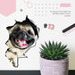 3D Removable Cat and Dog Wall Stickers