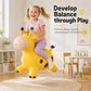 Cute Giraffe Bouncy Animal Hopper for Kids
