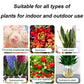 👍[Recommended by plant experts]🌿Plant and Flower Activation Liquid Solution-（Great Sale⛄）