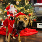 🐕Dog Christmas Clothes Santa Claus Riding Deer 🎄