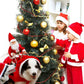 🐕Dog Christmas Clothes Santa Claus Riding Deer 🎄