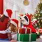 🐕Dog Christmas Clothes Santa Claus Riding Deer 🎄
