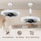 ✨ Summer 50%❄️Remote Control Ceiling Fan with Light