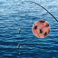 🎣Multi-Hook Artificial Fly Fishing Lure Set