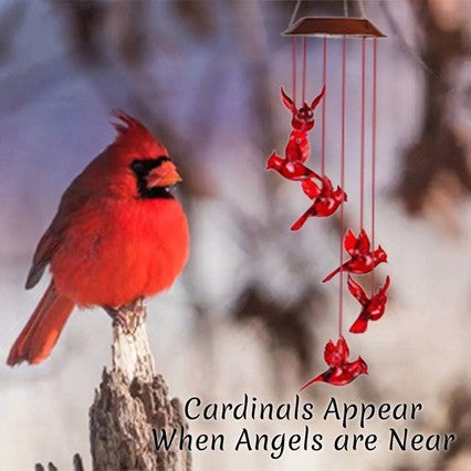 🦋 Enhance Your Garden - ✨Creative Bird Design Solar Wind Chimes