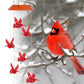 🦋 Enhance Your Garden - ✨Creative Bird Design Solar Wind Chimes