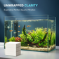 ⚡Black Friday Specials🐠 BUY 1 GET 1 FREE! ✨ AQUARIUM CLARIFYING SHEETS - Crystal Clear Water in 24 Hours, Removes Odors and Impurities, Safe for All Fish and Plants 🌿🔮