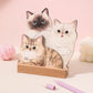 ⏳ Limited Time 50% OFF🔥🔥35K+SOLD!!📆2026 3D Cats & Dogs Desk Calendar🐶😻Adorable Pet-Themed Stand-Up Planner✨