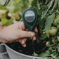 ⏳🔥LIMITED-TIME 50% OFF! ⏰🌱 Professional soil moisture meter for indoor & outdoor plants – Handy, Accurate, Plant‑friendly 💦✨