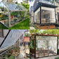 🥳2026 HOT SALE🥳💞50K+ SOLD! 🛡️🔩 50% OFF! Reinforced Transparent Tarp – aluminum grommets, 6-thread stitching, 3X longer life. Multi-use for roof, courtyard & carport – one tarp, endless jobs! 🏠💪