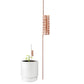 🔥Summer Hot Sale🔥Copper Spiral Antenna Plant Stakes