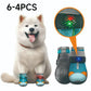 Breathable Mesh Dog Shoes with Luminous Design